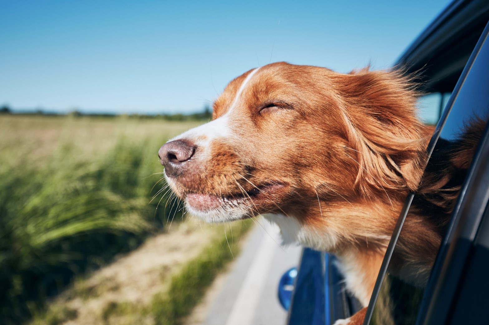 Is Your Vehicle Ready For Your Summer Road Trip?