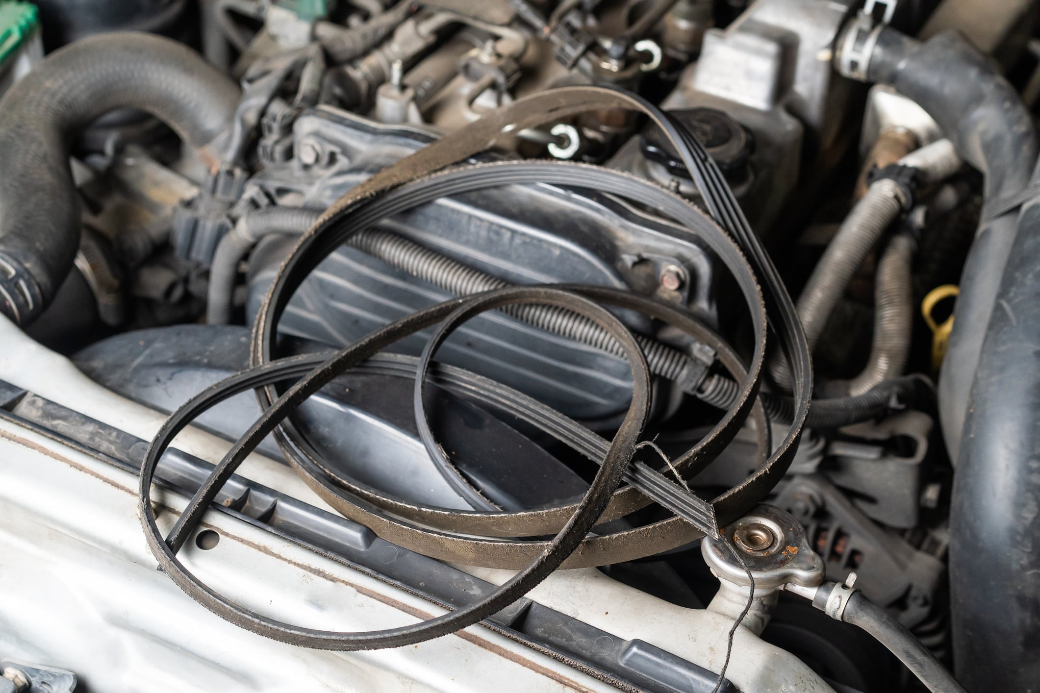 Why Your Car Smells Like Burning Rubber (And What to Do About It)