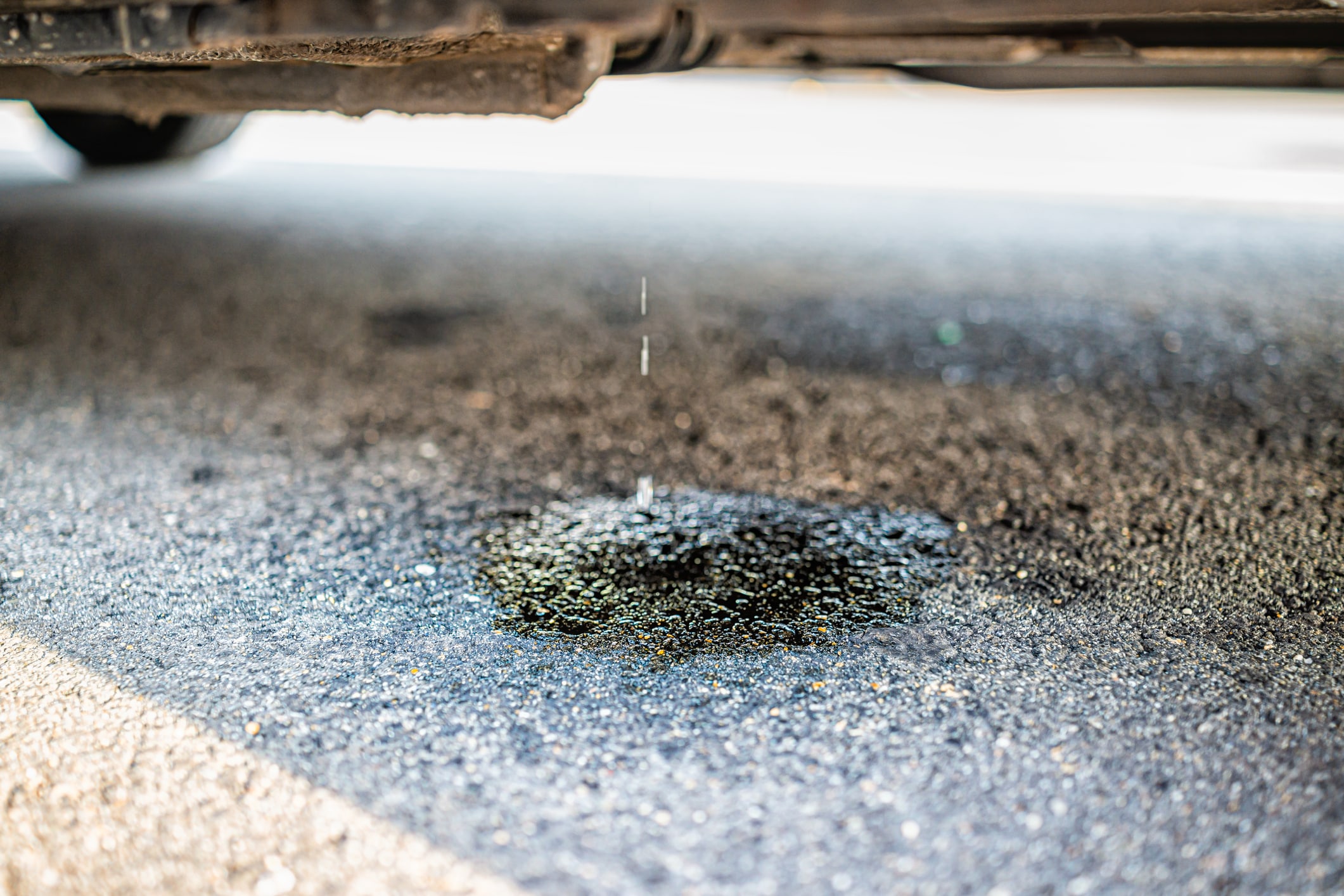 Clear Liquid Under Your Car? Don't Panic Until You Read This.