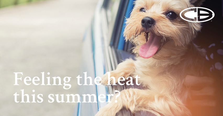 My vehicle AC (air conditioner) is blowing warm, why does it cost so much to fix?