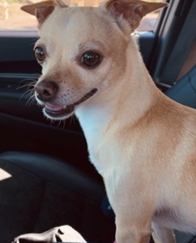 photo of  Paco 